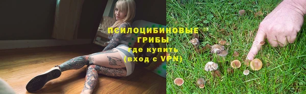 скорость Алзамай