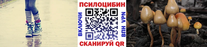 наркота  Новоаннинский  гидра ссылка  Псилоцибиновые грибы Psilocybine cubensis 